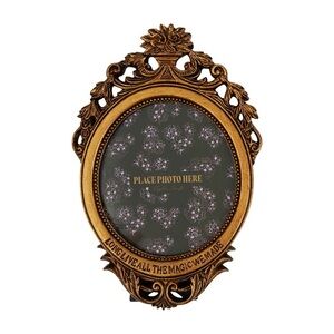 NWT Taylor Swift Speak Now Taylor's Version Long Live Picture Frame